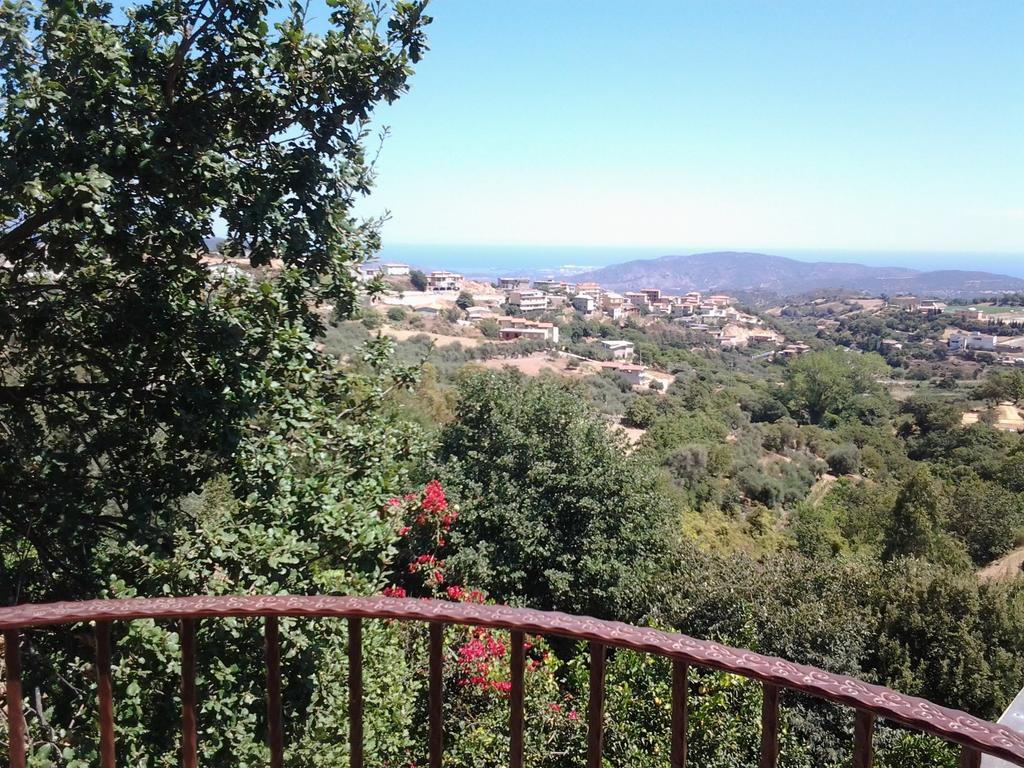 Le Roverelle Ilbono Habitación foto